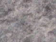 xm006385.gif