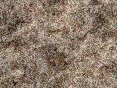 xm006384.gif