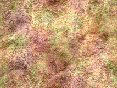 xm006380.gif