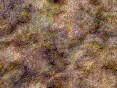 xm006379.gif