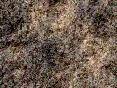 xm006378.gif