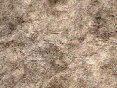xm006375.gif