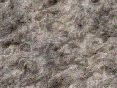 xm006374.gif