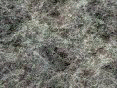 xm006373.gif
