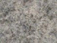 xm006372.gif