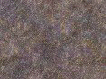 xm006371.gif