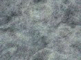 xm006369.gif