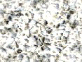 xm006368.gif