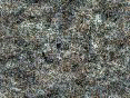 xm006367.gif