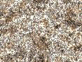 xm006366.gif