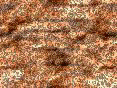 xm006365.gif