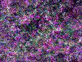 xm006361.gif