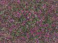 xm006357.gif