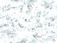 xm006356.gif