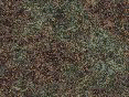 xm006354.gif