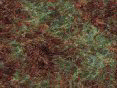 xm006352.gif
