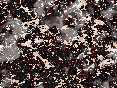 xm006350.gif