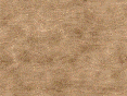 xm007249.gif
