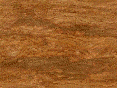 xm007246.gif