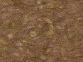 xm007245.gif