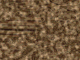 xm007242.gif