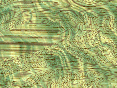xm007237.gif