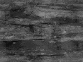 xm007232.gif