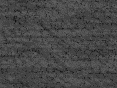 xm007217.gif