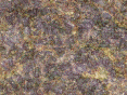 xm007213.gif