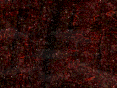 xm007212.gif