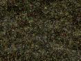 xm007207.gif