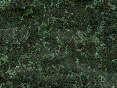 xm007206.gif