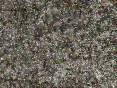 xm007205.gif