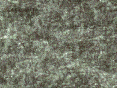 xm007204.gif