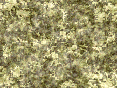 xm007203.gif