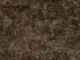 xm007202.gif