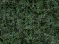 xm007201.gif