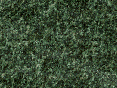 xm007196.gif