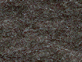 xm007194.gif