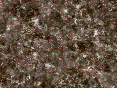 xm007193.gif