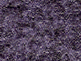 xm007191.gif