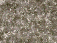 xm007187.gif