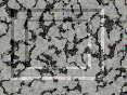 xm007185.gif