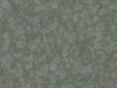 xm007177.gif