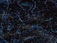 xm007176.gif