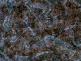 xm007175.gif