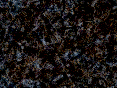 xm007174.gif