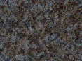 xm007173.gif
