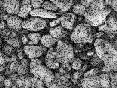 xm007172.gif