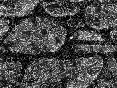 xm007170.gif